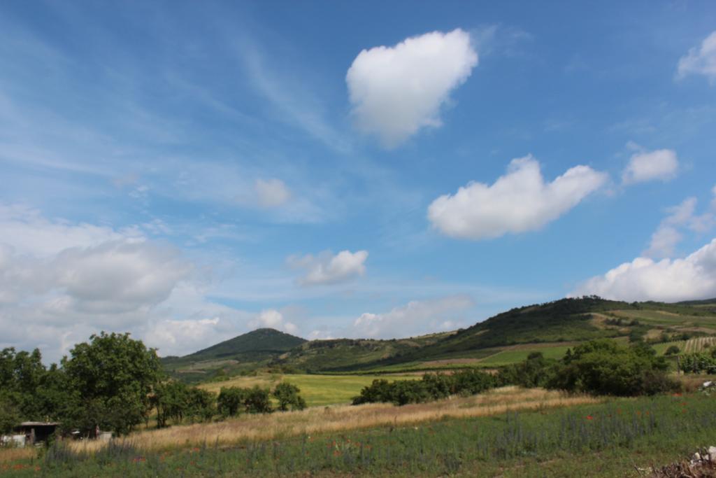 Pillangó Vendégház Tállya Esterno foto