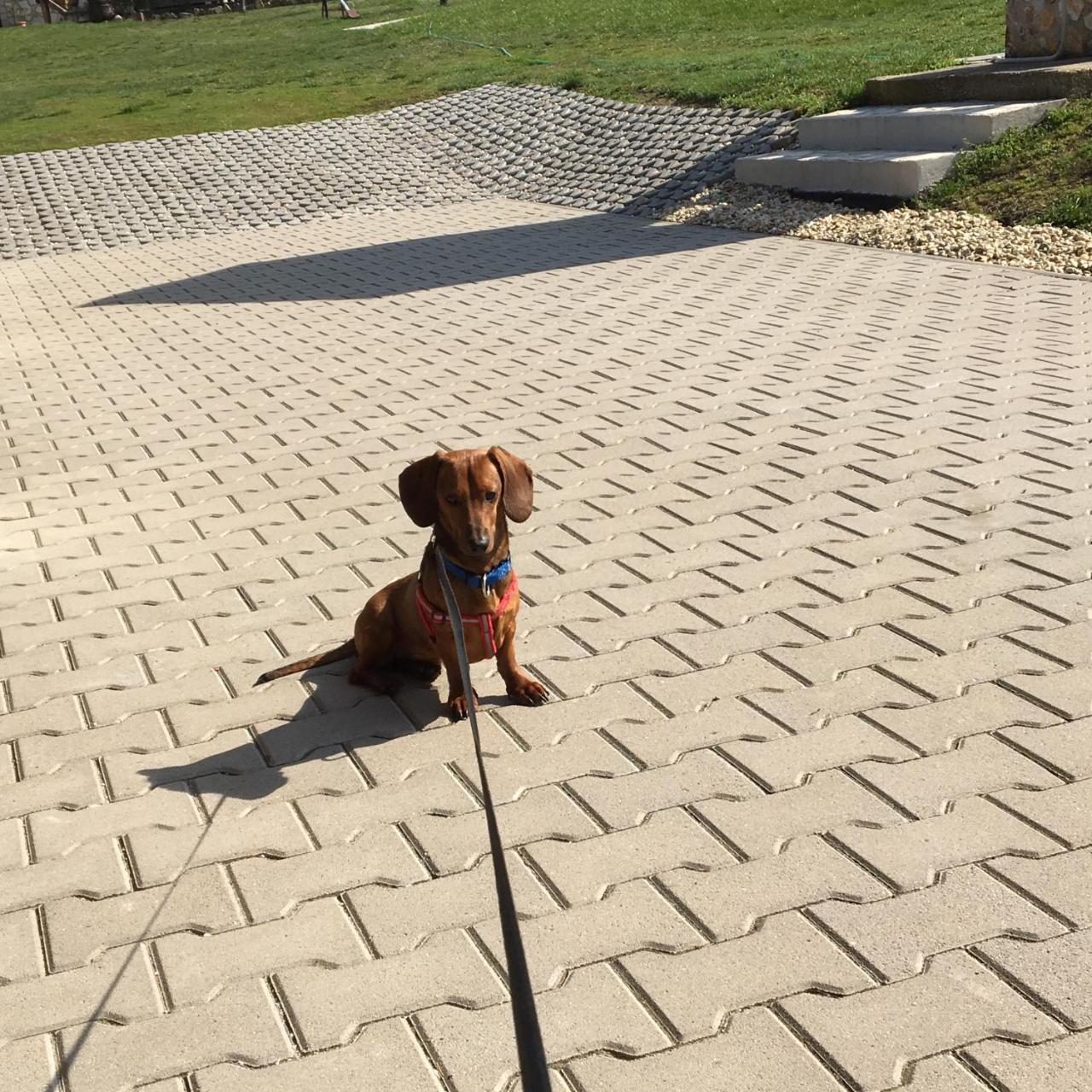 Pillangó Vendégház Tállya Esterno foto